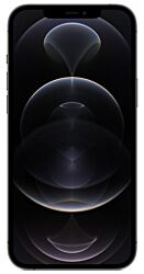 iPhone 12 Pro Max noir 256 Go