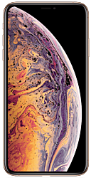 iPhone XS max or 256 Go 