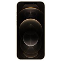 iPhone 12 Pro Max or 512 Go