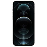 iPhone 12 Pro Max argent 256 Go